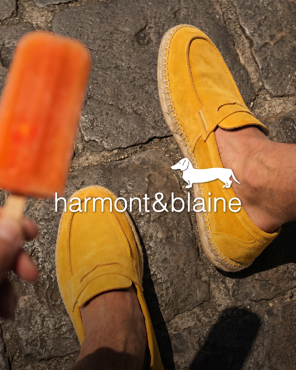 Harmont & Blaine Shoes